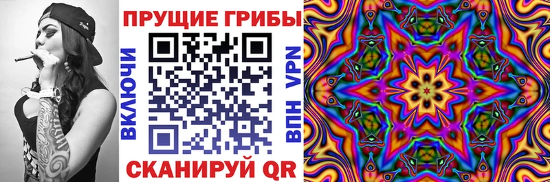 Псилоцибиновые грибы GOLDEN TEACHER  Тверь 